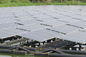 320W mono güneş paneli Balık Gölet Konut Güneş Enerjisi Sistemleri 3.2 Mm Kalın Temperli Cam